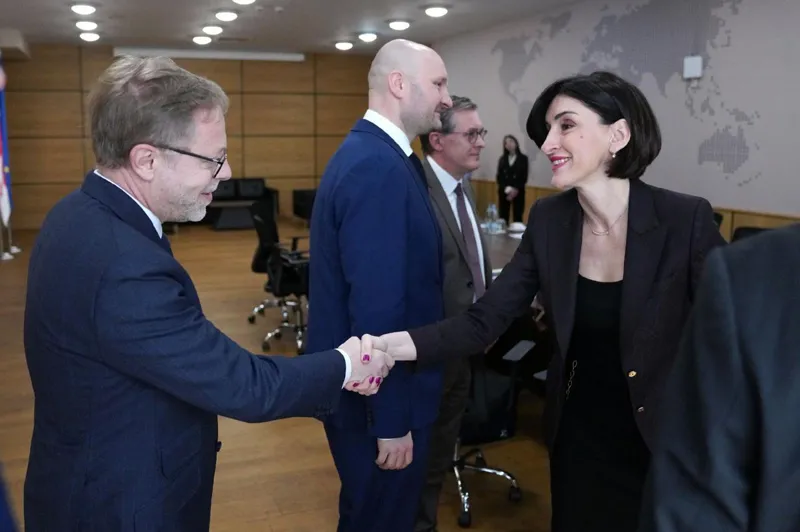 მაკა ბოჭორიშვილი ვაიმარის სამკუთხედის ქვეყნების საგარეო საქმეთა სამინისტროების წარმომადგენლებს ხვდება