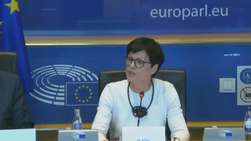 Marta Kos: It is impossible to discuss a real connectivity agenda without Georgia
