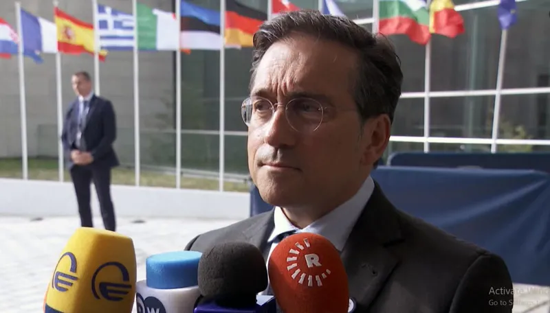 Spanish Foreign Minister - We must help Georgia continue on its path to the European family