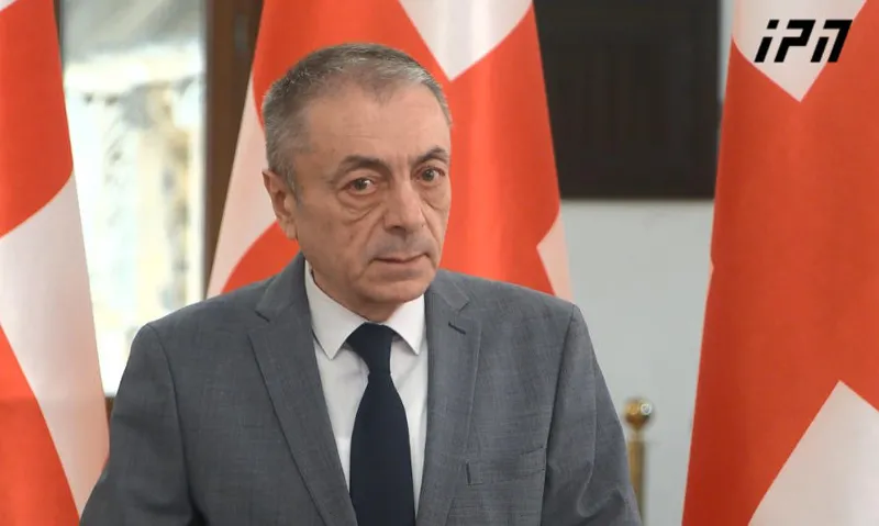 Tengiz Sharmanashvili - How is Shalva Papuashvili's statement slander when Fischer is doing something that directly contradicts the Vienna Convention?!