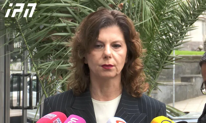 Tamar Chergoleishvili on Mikheil Saakashvili: He will still have to respect the agreement - otherwise, he cannot stay with us!