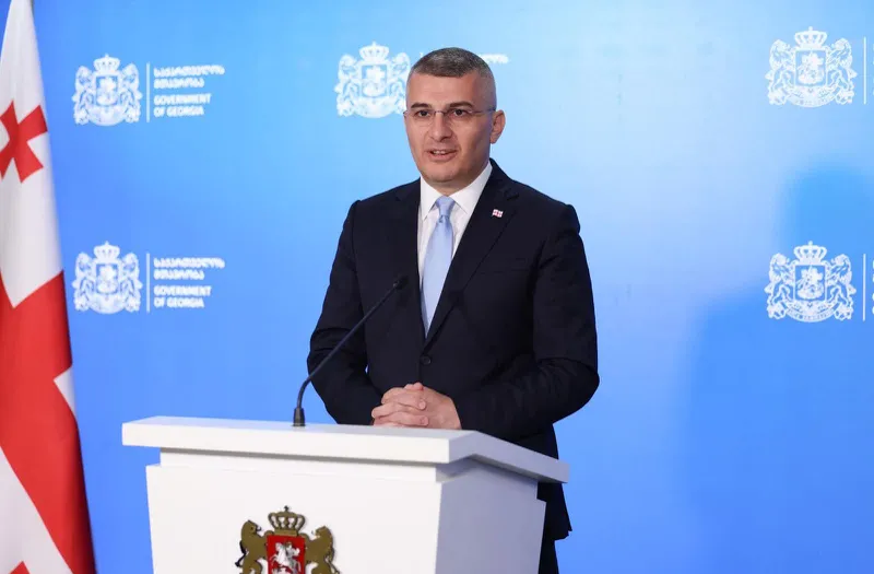 Mamuka Mdinaradze - This person could not understand how to speak to the Georgian people, the Georgian state and its choice