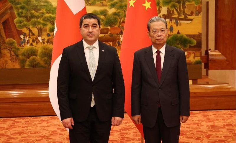 沙尔瓦·帕普阿什维利会见中国议会主席