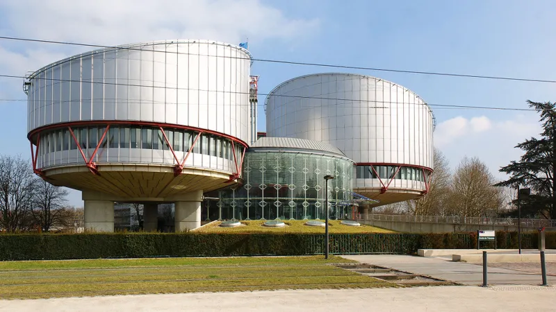 Fair Elections - The European Court of Human Rights begins the review of the case of the seizure of the bank accounts of 5 civil organizations on its merits