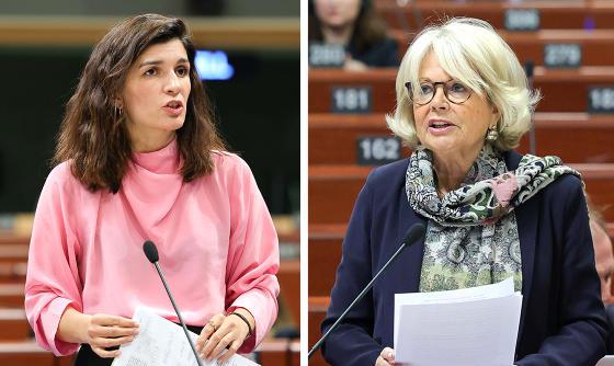 PACE 监测委员会：格鲁吉亚的民主倒退以及对反对派和公民社会的压力持续存在