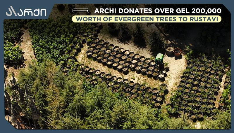 Archi 向鲁斯塔维捐赠价值超过 20 万 GEL 的常青树