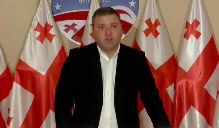 National Movement launches campaign "Remember Abkhazia - Remember the IDPs"