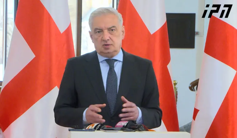 Gia Volski: The aim of the resolution is to somehow preserve the resources of extremist-oriented opposition in Georgia, so that they are not dismantled - the political aspects included in the document are the pinnacle of injustice