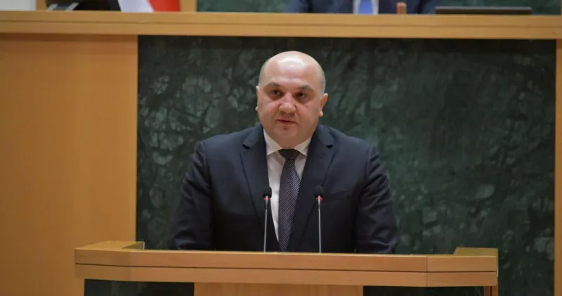 Aleksandre Darakhvelidze explains whether the legislative amendments that provide for the expulsion of foreign convicts and a ban on entering the country before the expiration of their sentence will affect Mikheil Saakashvili