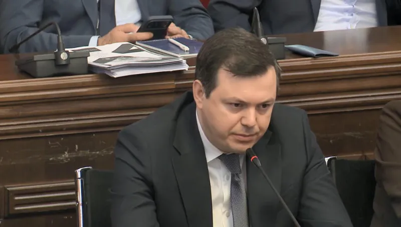 Giga Pharulava to Giorgi Gvarakidze: Only 5 individuals detained despite years of alleged systemic violence - is the Gori incident a minor misconduct or a reflection of systemic abuse?