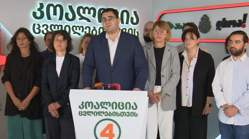 Giga Lemonjava - Each day that Elene Khoshtaria is not in a civil clinic is a conscious blow to her health - a punitive operation carried out by the regime