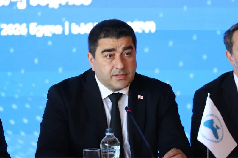 Shalva Papuashvili: When international powers use international organizations as instruments for their narrow political interests and put geopolitics ahead of people, they harm peace and stability