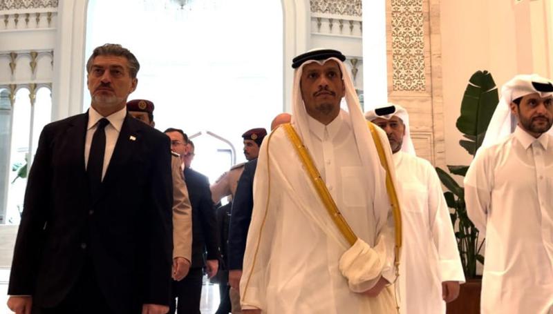 米赫伊尔·卡韦拉什维利会见卡塔尔埃米尔