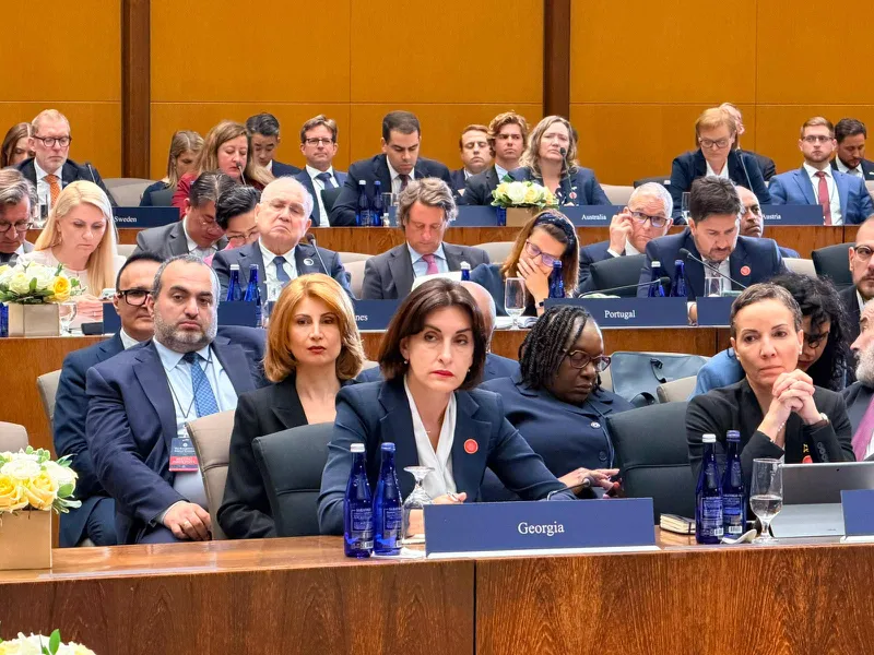 Maka Botchorishvili – We have witnessed repeated attempts to undermine our democratic institutions, we have seen coordinated campaigns aimed at discrediting state institutions