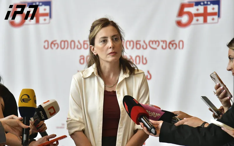 Khatia Dekanoidze - I really hope that Tina Bokuchava will come to the congress, she was the party chairwoman for 2 years and I don’t think she will miss this congress - the political council was completely legitimate