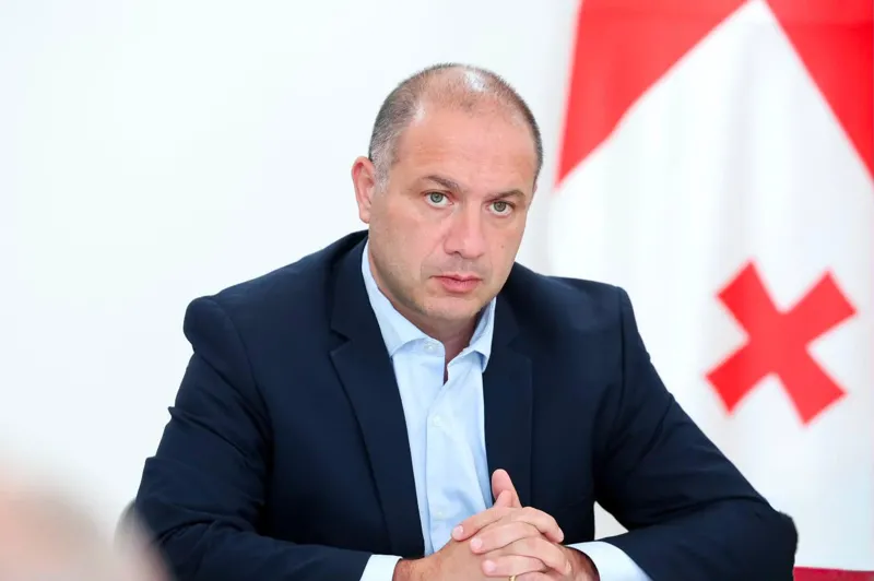 Givi Mikanadze calls the circulating information according to which he is building a house on the site of a kindergarten in Guria “a lie” and “a disinformation campaign” and demands a public apology