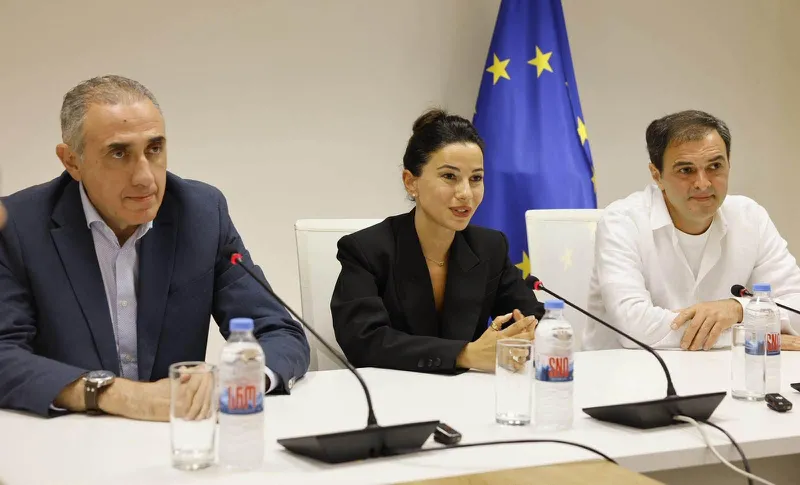 Davit Vardiashvili has been appointed General Director of the Georgian State Electrosystem