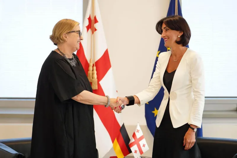 Maka Botchorishvili holds introductory meeting with German Ambassador, discusses relations between Georgia and Germany, as well as with the European Union