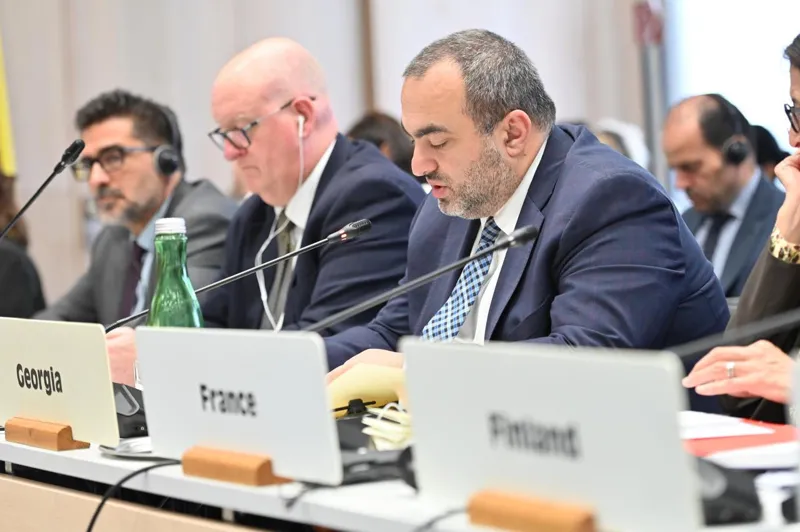 Lasha Darsalia at OSCE meeting: Russia continues to occupy Georgian territories and maintain an illegal military presence, facilitating the de facto annexation of the region