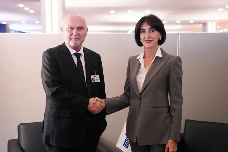 Maka Botchorishvili meets with OSCE Secretary General