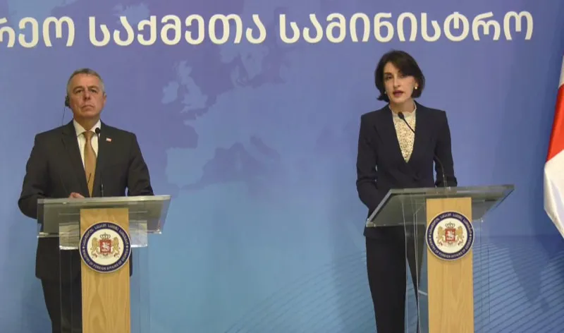 Maka Bochorishvili: For Georgia, the search for peaceful ways to resolve the conflict with Russia and the use of every possible instrument for this purpose remain relevant