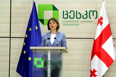 ანა მიქელაძის ინფორმაციით, 17:00 საათის მონაცემებით, კომისიებში შესულია 165 საჩივარი და მათი უმრავლესობა პროცედურულ  ხარვეზებს წარმოადგენს
