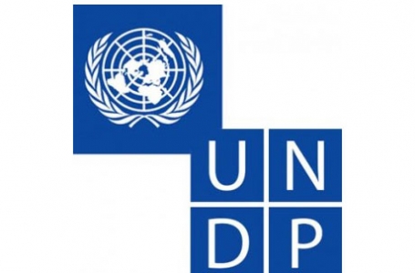 ევროკავშირმა და გაეროს განვითარების პროგრამამ მაისში ჩატარებული კვლევის შედეგები გამოაქვეყნა