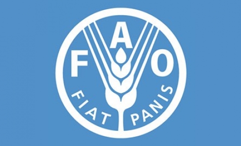 FAO იდენტიფიკაცია-რეგისტრაციის პროგრამის მომხმარებლების გადამზადებას განაგრძობს