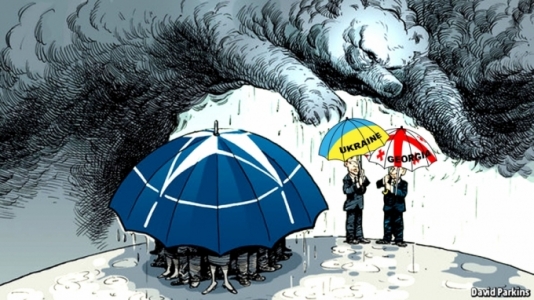 Still going circles: Who was responsible for 2008 War?