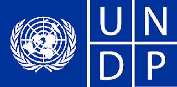 UNDP - Boosting Georgia’s public healthcare with digital solutions