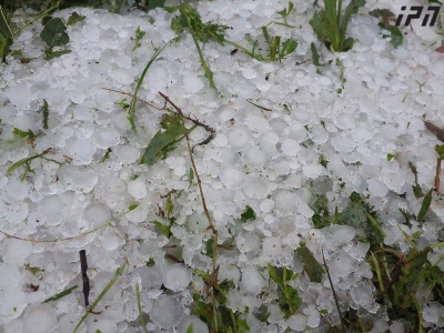 სეტყვამ და ძლიერმა ქარმა კახეთში რამდენიმე მუნიციპალიტეტი დააზარალა