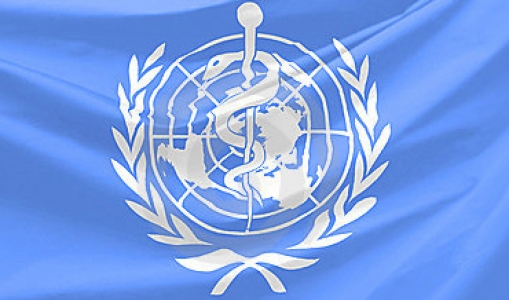 ჯანდაცვის მსოფლიო ორგანიზაციის ხელმძღვანელი - მსოფლიო პანდემიისთვის მზად უნდა იყოს