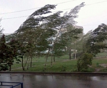 ქარმა თბილისში პრობლემები შექმნა