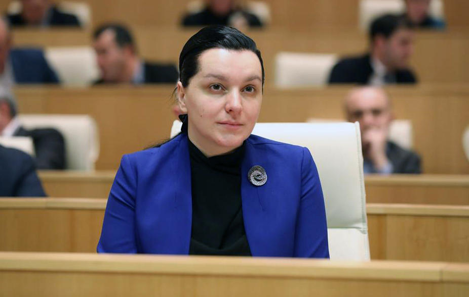 პარლამენტის განათლების კომიტეტი სამინისტროსგან 2020 წელს დაგეგმილი ერთიანი ეროვნული გამოცდების დეტალებზე პროექტს ელოდება