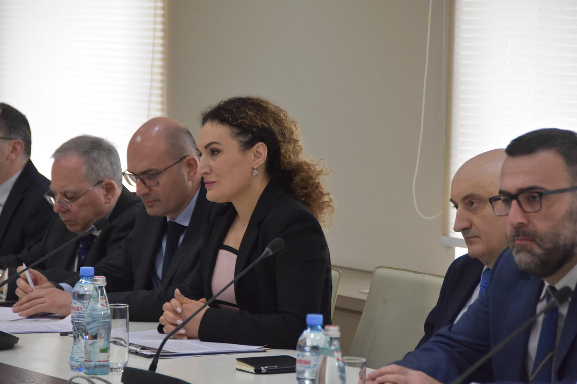 ქეთევან ციხელაშვილი - ეუთო დაინტერესებულია კონფლიქტის მოგვარების საკითხში კიდევ უფრო აქტიური როლი შეასრულოს