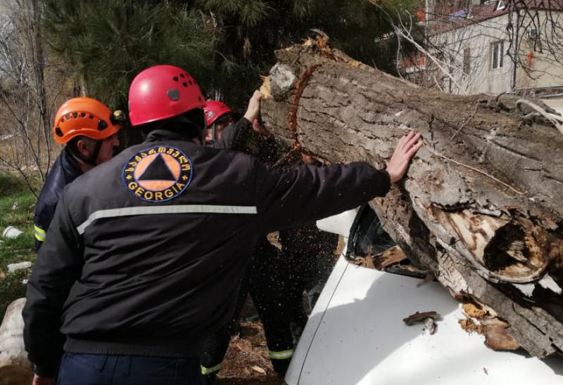 Powerful wind downs trees, power lines