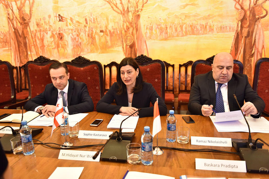სოფიო ქაცარავა ინდონეზიის რესპუბლიკის სახალხო საკონსულტაციო ასამბლეის თავმჯდომარის მოადგილეს შეხვდა