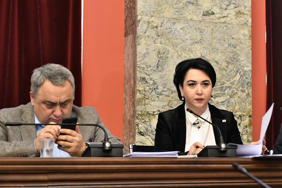 ეკა ბესელია უმრავლესობას მოსამართლეთა შერჩევაზე - თქვენ ვერ ხედავთ, რამდენად სახიფათოა პოლიტიკურად იმ მომენტების ვერ შეგრძნება, რაც ამ პროცესს ახლავს