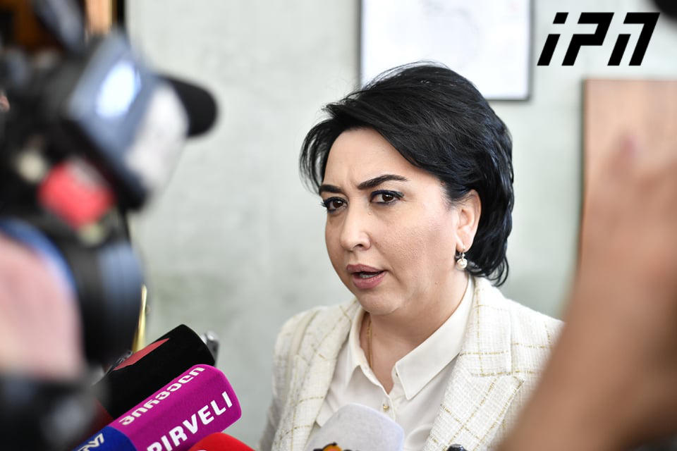 MP Beselia intends to launch new political force in nearest future