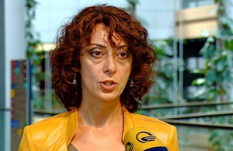 Ambassador to EU says distance has been reduced between EU, Georgia
