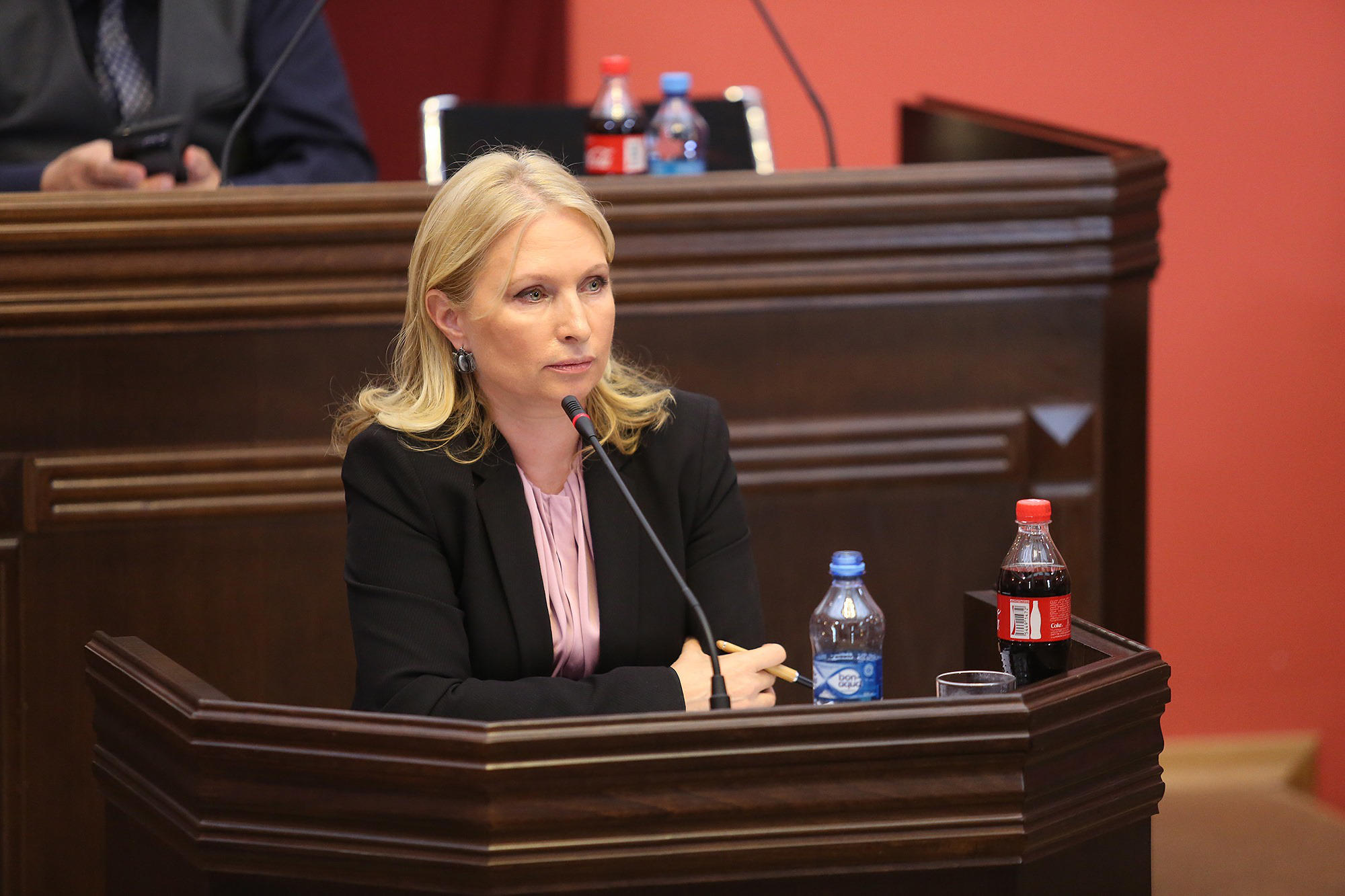 ნათია თურნავა - თუ დავინახეთ, რომ რაიმე საფრთხე მაინც ემუქრება ანაკლიის კონცეფციას, მოვითხოვთ ალტერნატიული პროექტის კორექტირებას