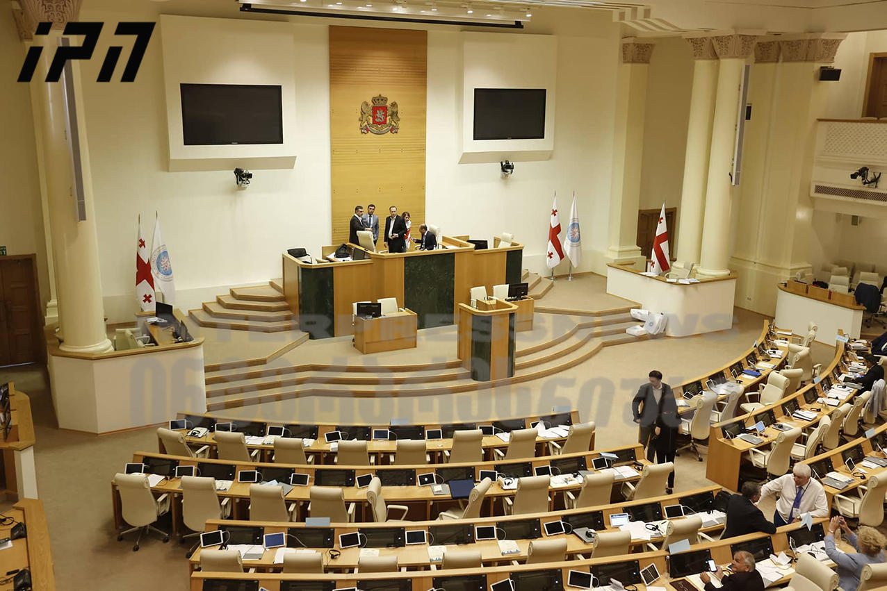Opposition MPs leave plenary session in protest