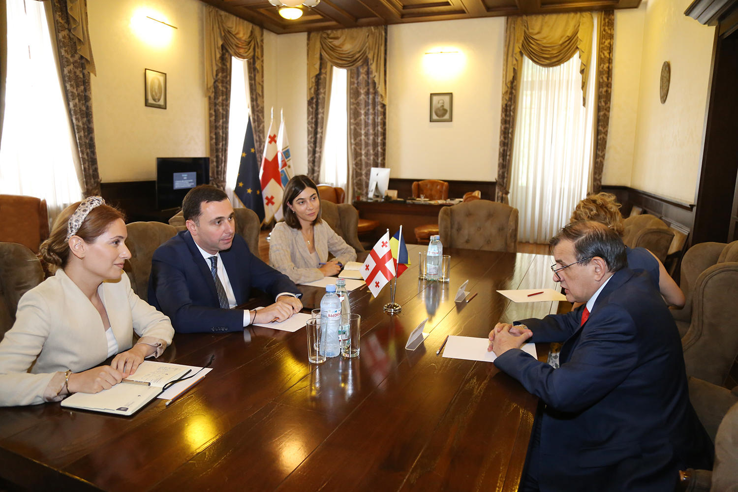 გიორგი ტყემალაძე საქართველოში რუმინეთის ელჩს შეხვდა