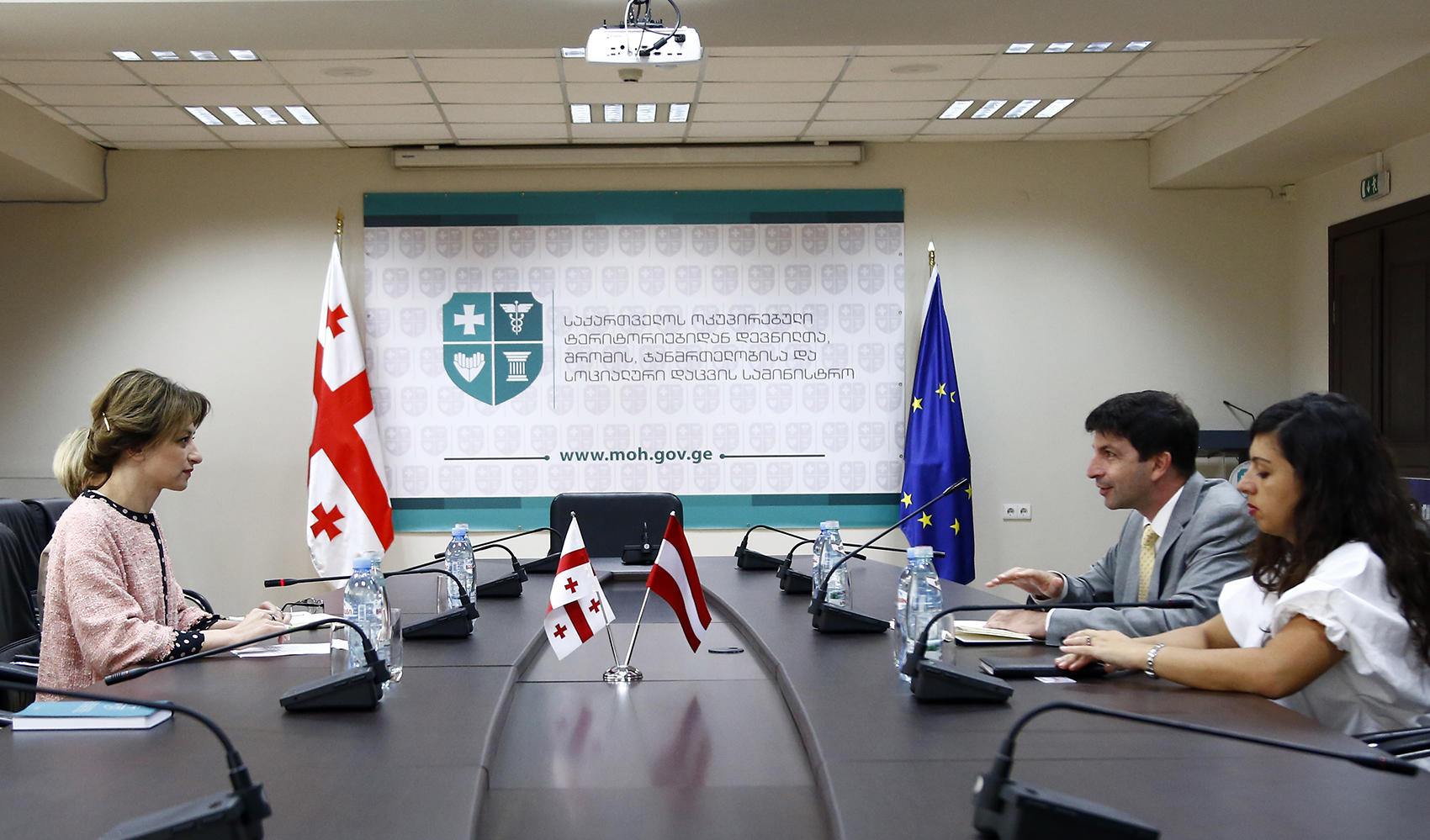 ეკატერინე ტიკარაძე ავსტრიის ელჩს საქართველოში არად ბენკოს შეხვდა