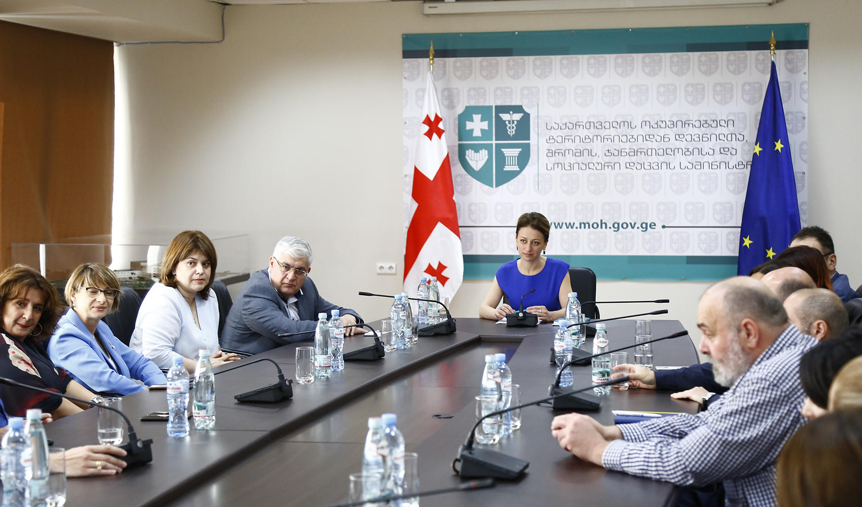 ჯანდაცვის მინისტრი სადაზღვევო ინდუსტრიის წარმომადგენლებს შეხვდა