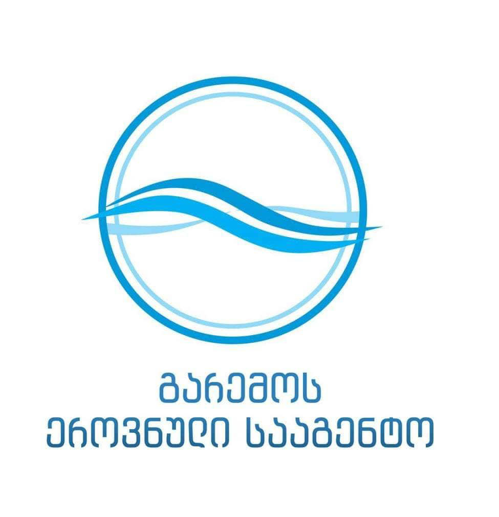 გარემოს ეროვნული სააგენტო - თბილისის ზღვიდან აღებულ სინჯებში, ქიმიური და მიკრობიოლოგიური პარამეტრების დასაშვებ ნორმებზე  გადაჭარბების არც ერთი შემთხვევა არ დაფიქსირებულა