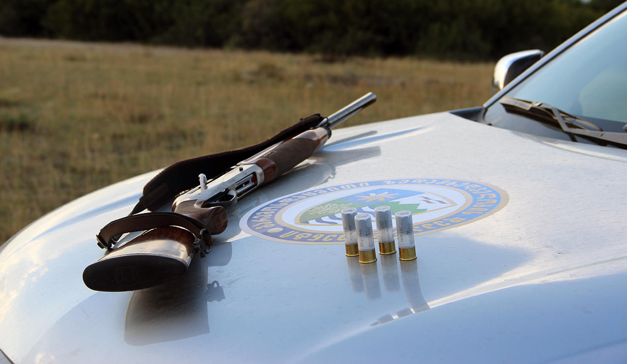 23 აგვისტოს გადამფრენ ფრინველებზე ნადირობის სეზონი იხსნება - გარემოსდაცვითი ზედამხედველობის დეპარტამენტი, უკანონო ნადირობის პრევენციის მიზნით, სეზონის განმავლობაში კონტროლს ამკაცრებს