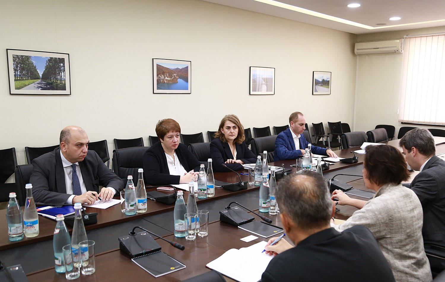 მაია ცქიტიშვილმა და საერთაშორისო სავალუტო ფონდის წევრებმა 2019-2020 წლის ბიუჯეტის შესახებ იმსჯელეს