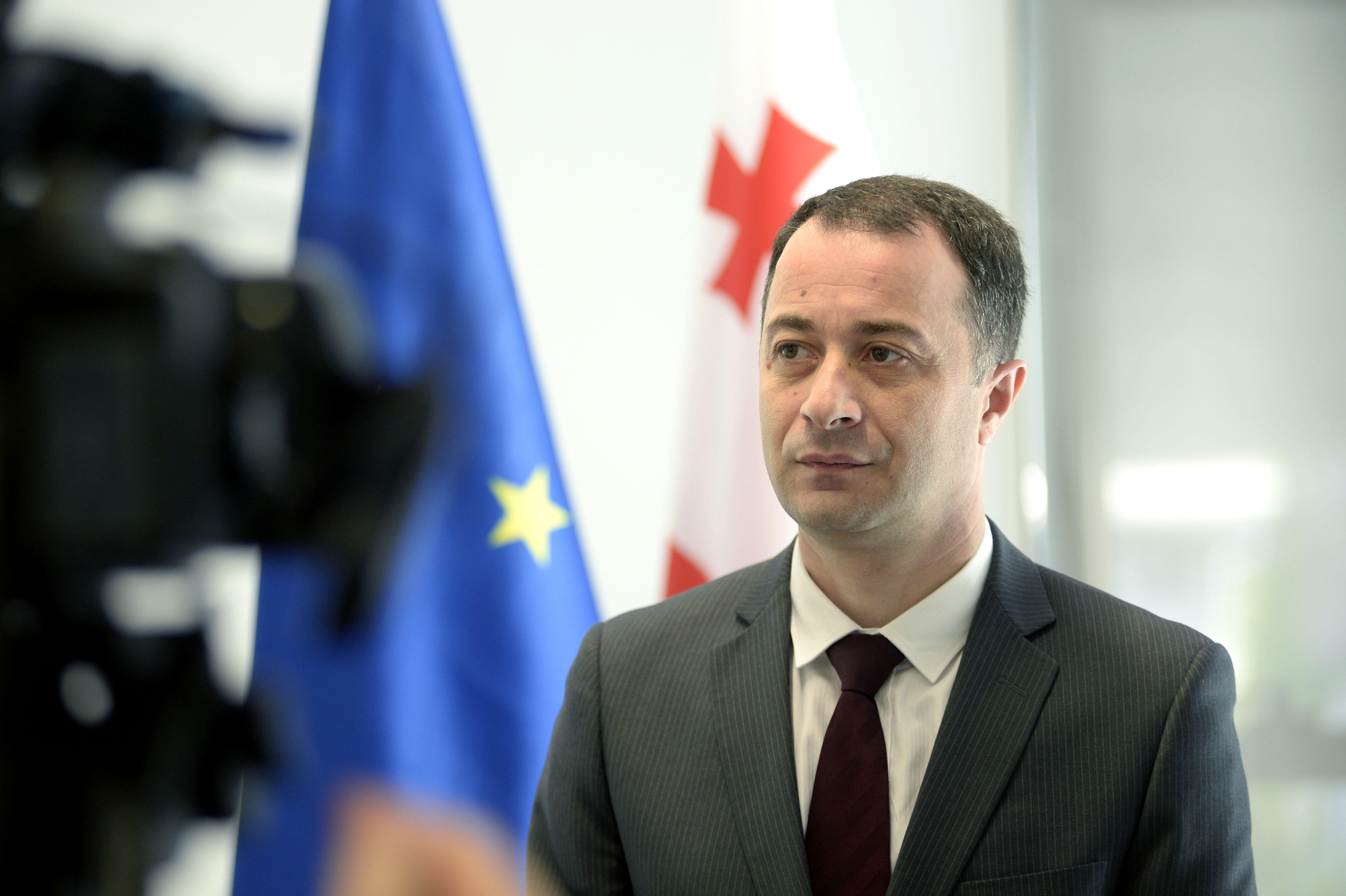 ეკონომიკის მინისტრის მოადგილე - ჩვენი მიზანია, ქვეყნის საერთო მოხმარებაში  გაიზარდოს განახლებადი ენერგიის წილი