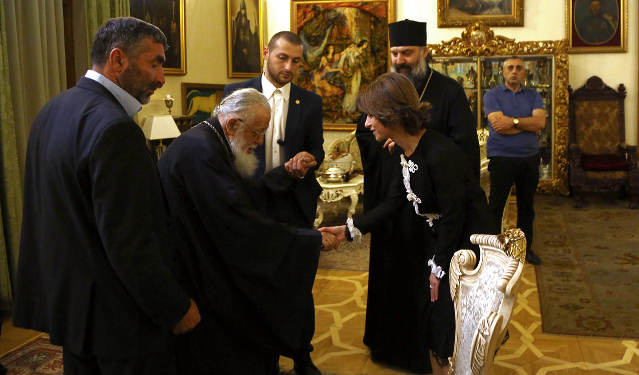 პატრიარქი ჯანდაცვის მინისტრს შეხვდა